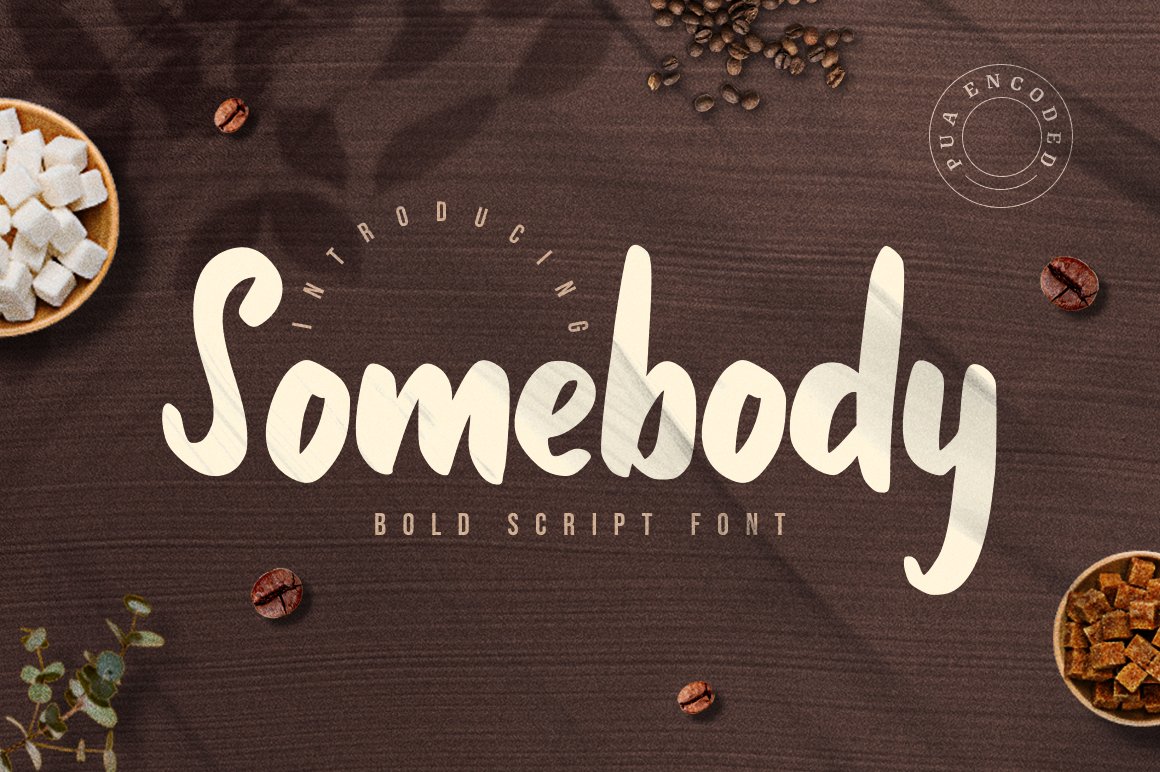 Somebody - Bold Script Font cover image.