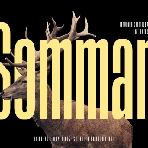 Sommar Display Font cover image.