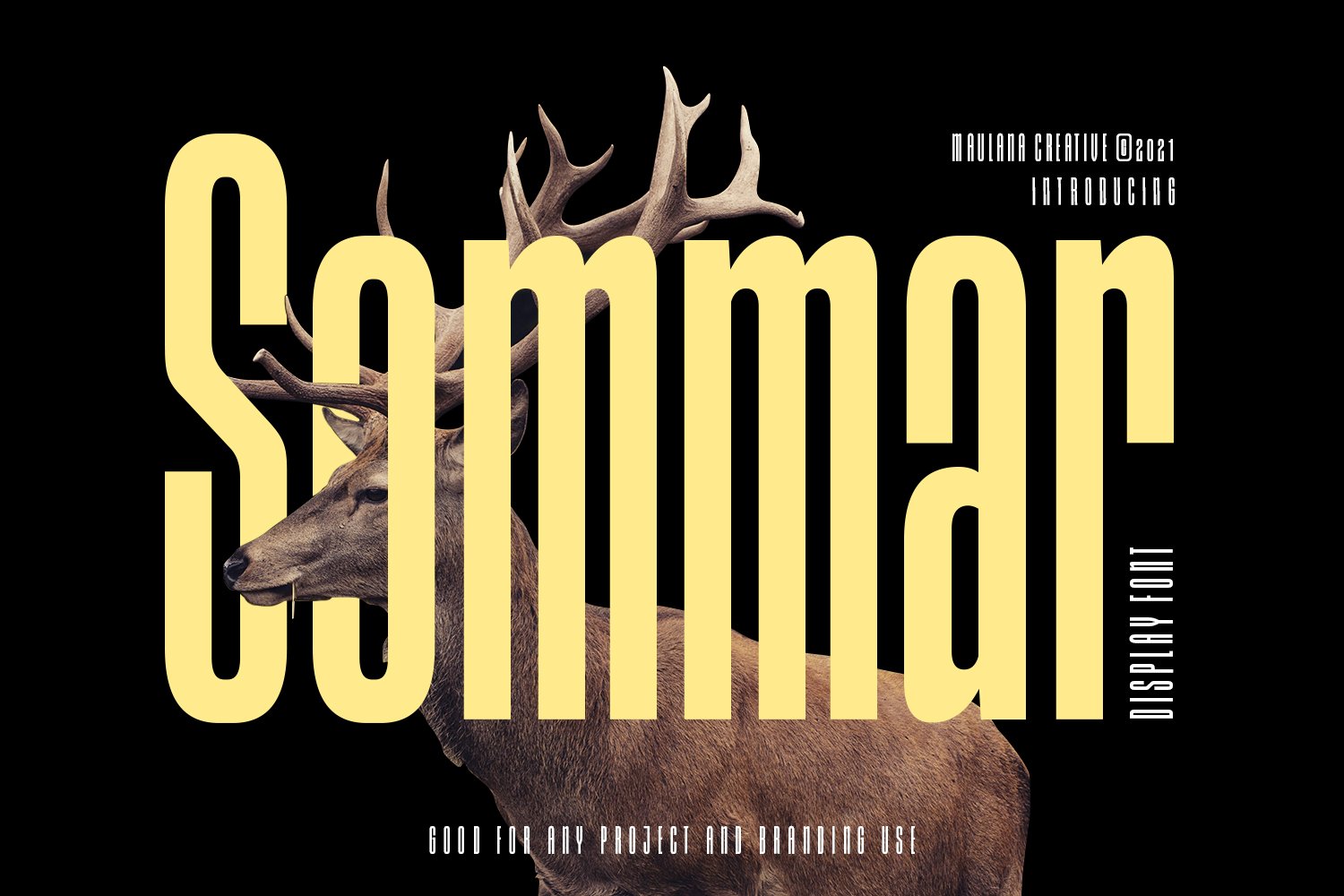 Sommar Display Font cover image.