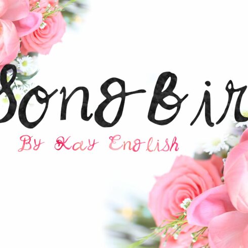 Songbird whimsical font by Kay cover image.