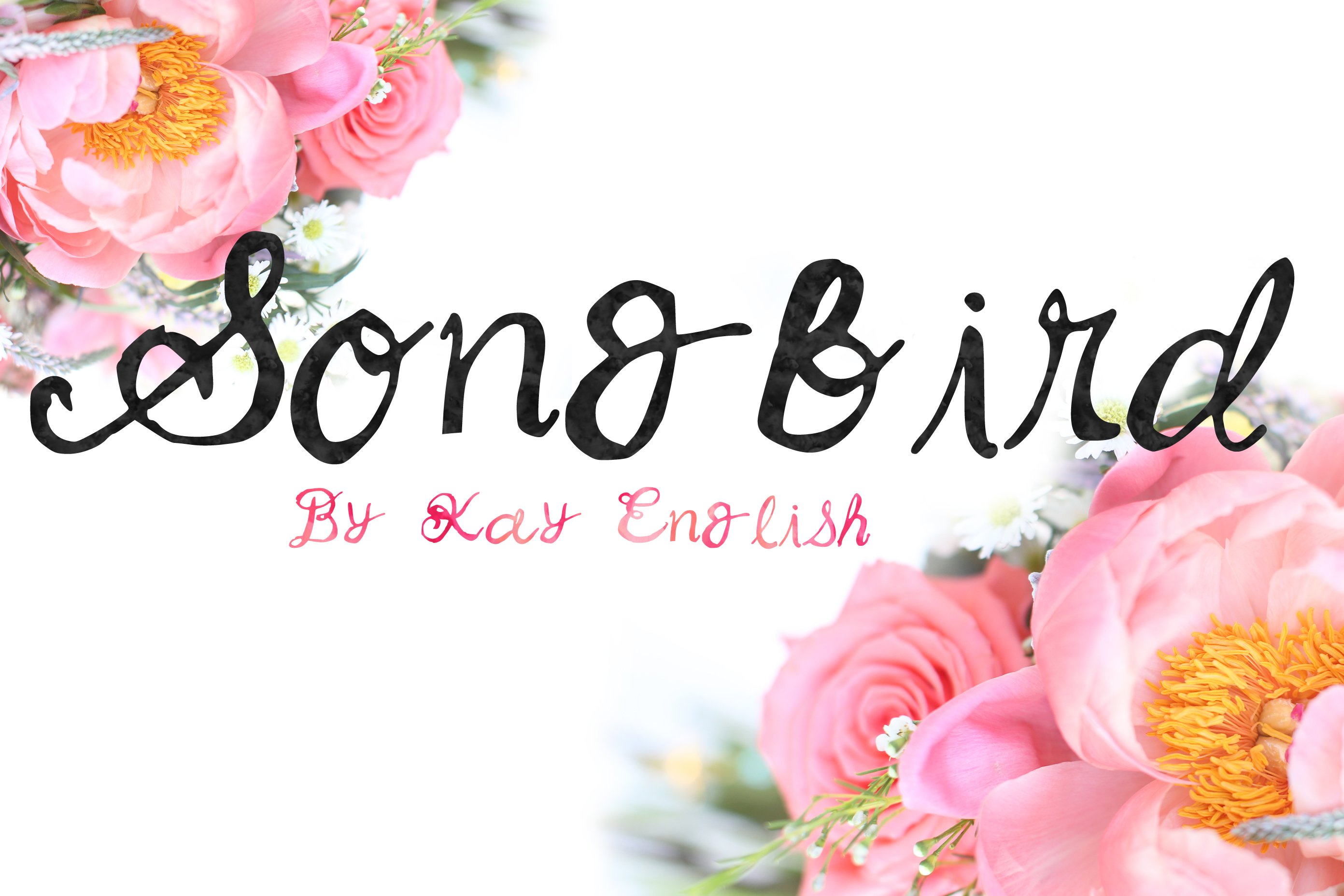 Songbird whimsical font by Kay cover image.