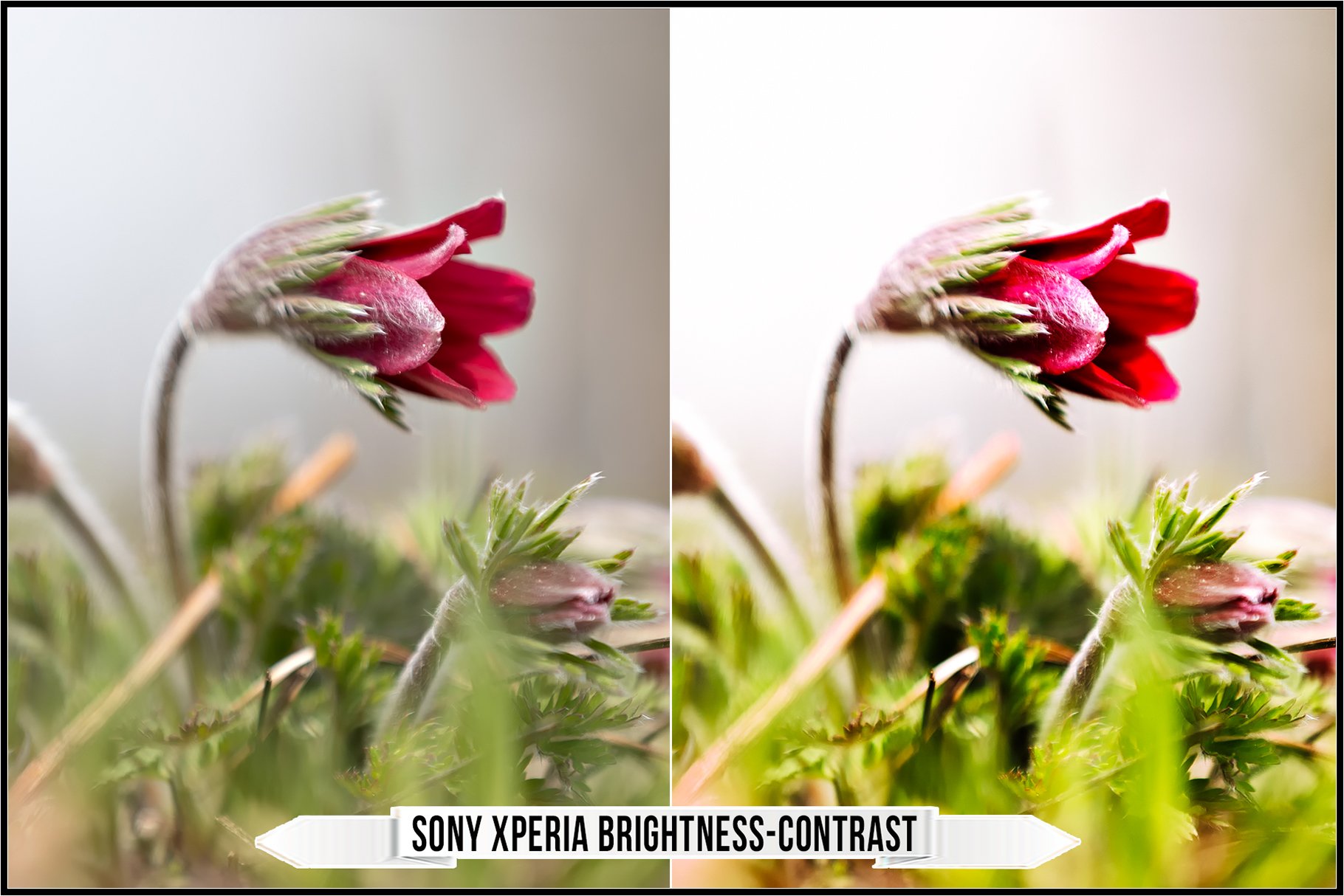 sony xperia brightness contrast 644