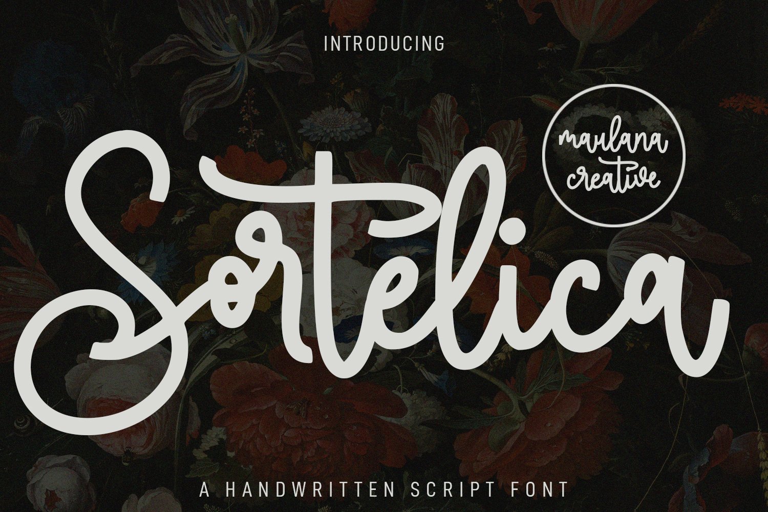 Sortelica Script Font cover image.