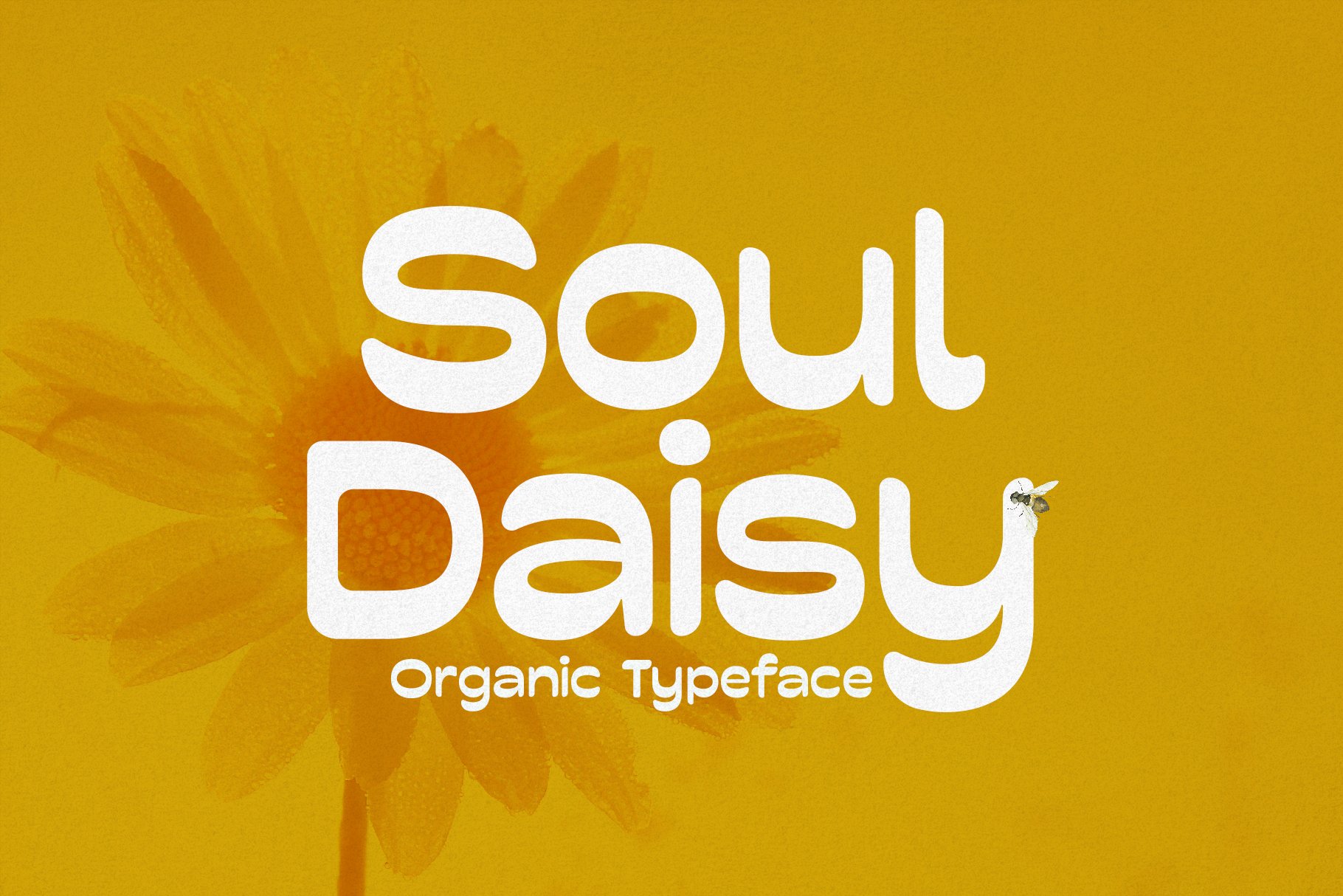 Soul Daisy - Organic Font cover image.