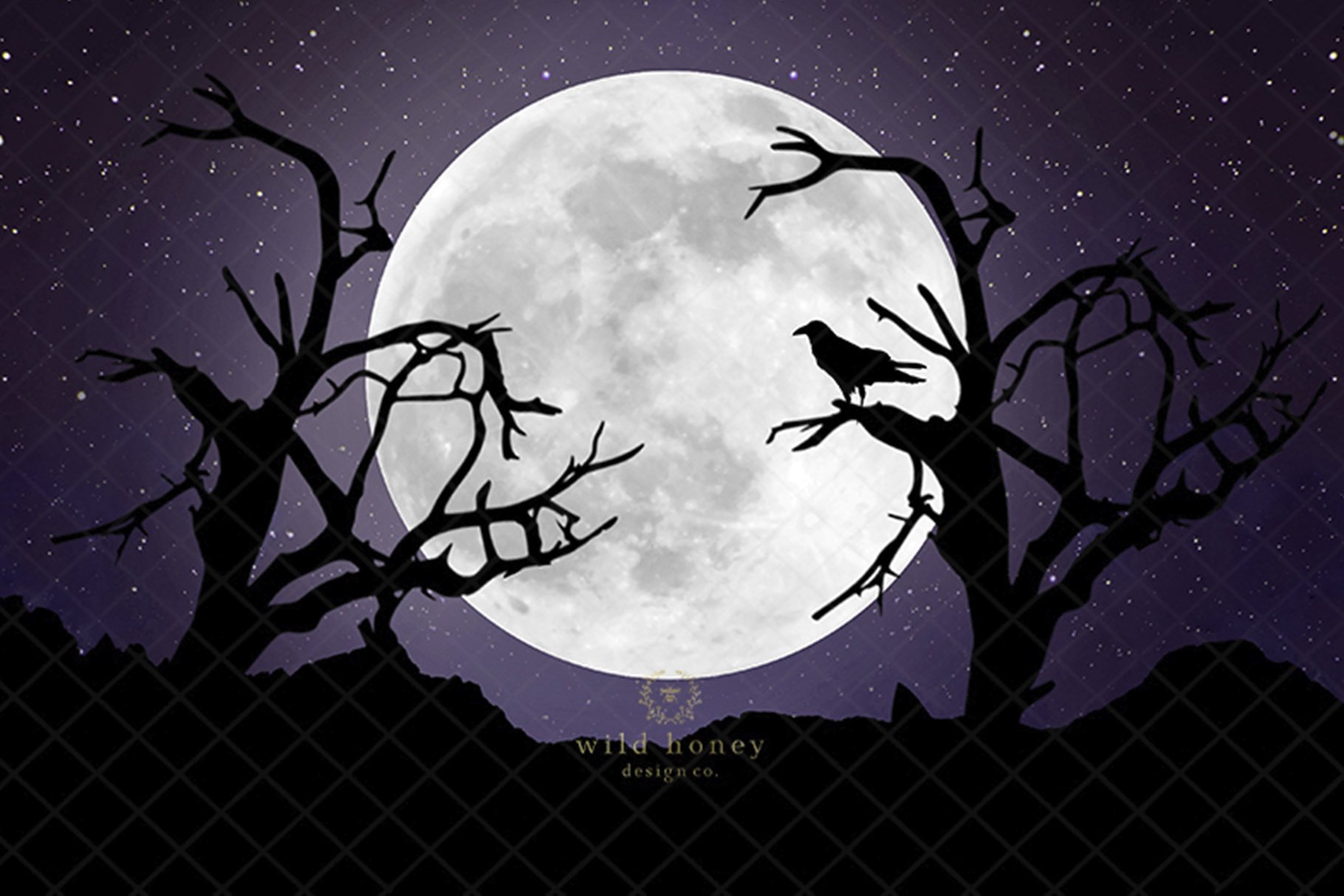 Halloween Night Digital Backdropcover image.