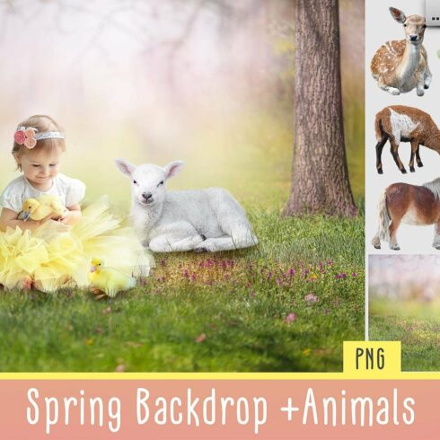 Spring Backdrop + Animalscover image.