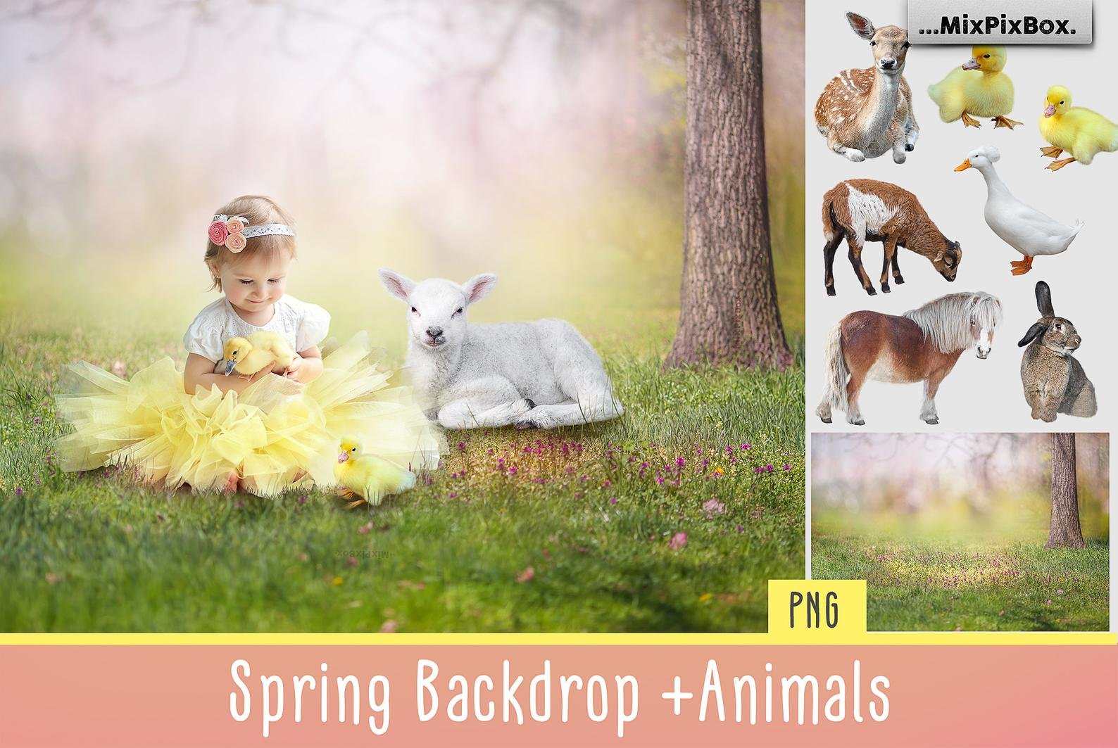 Spring Backdrop + Animalscover image.