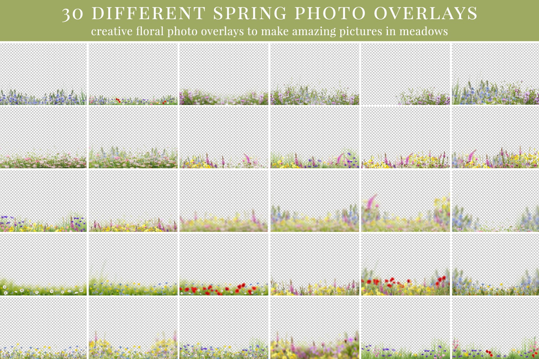 Spring Meadow photo overlayspreview image.