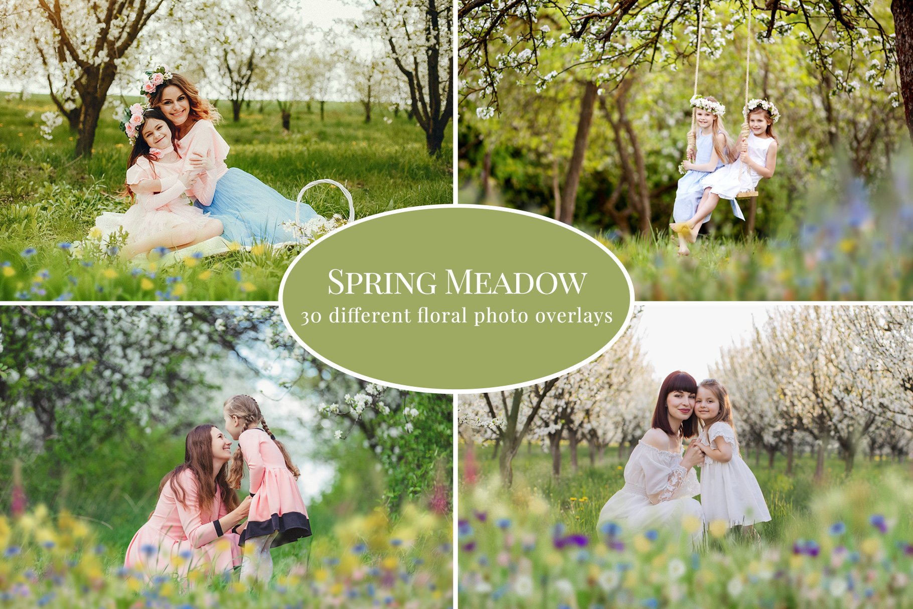 Spring Meadow photo overlayscover image.