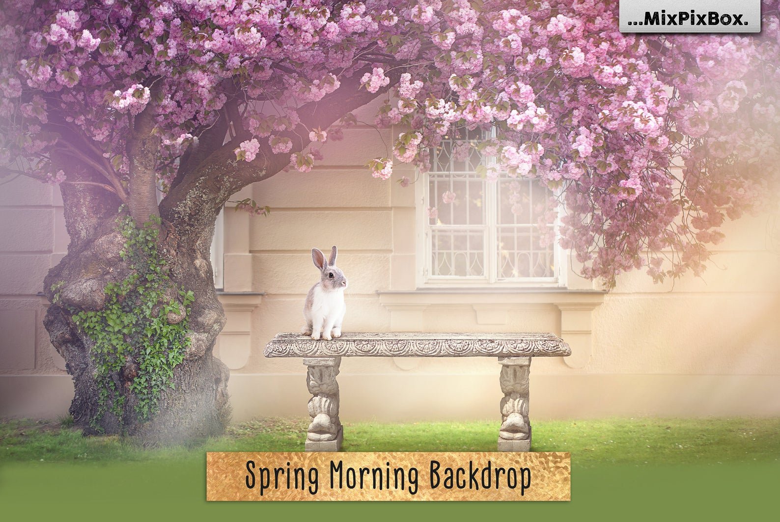 Spring Morning Backdropcover image.