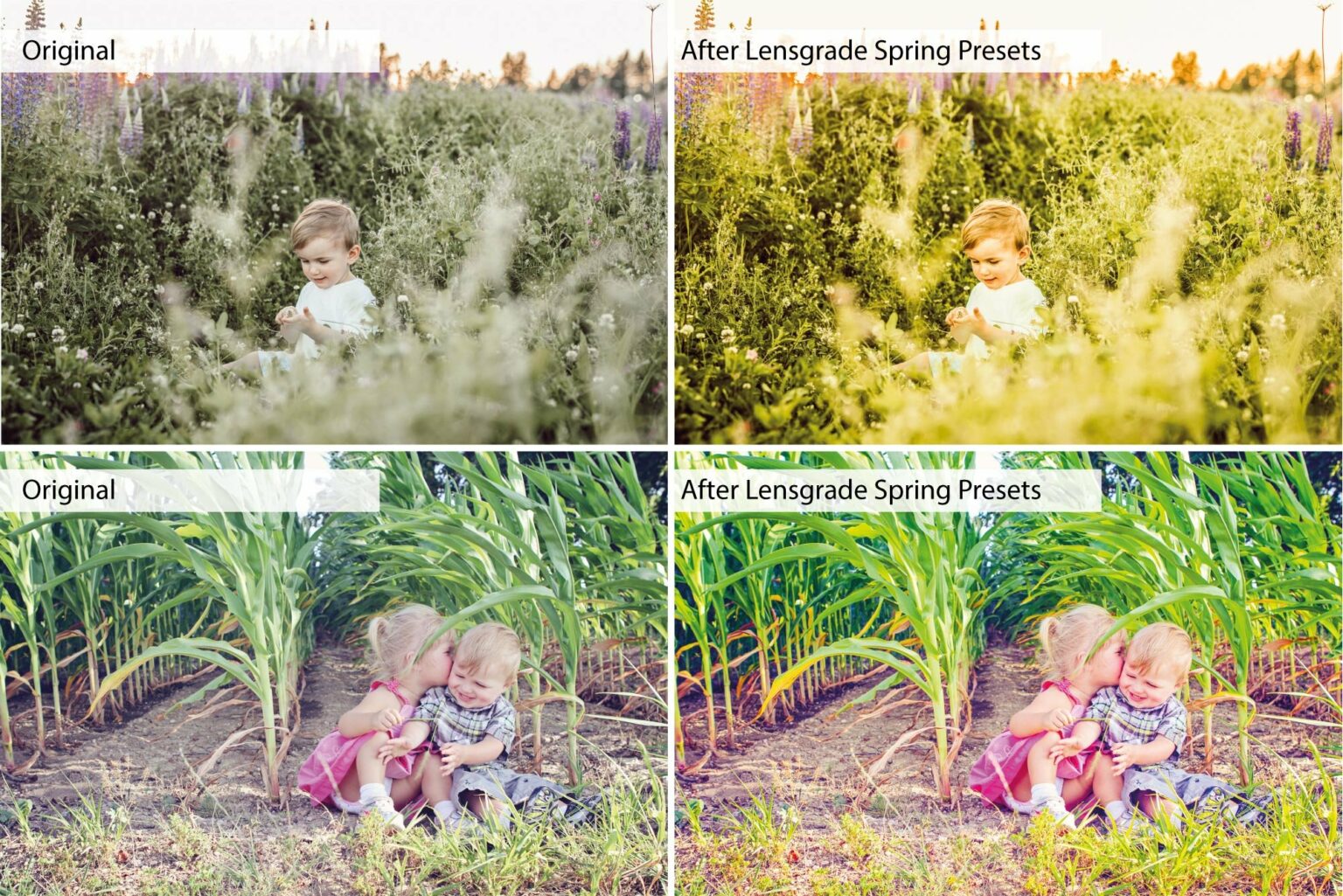 Spring Presets - Lightroom Presets – MasterBundles