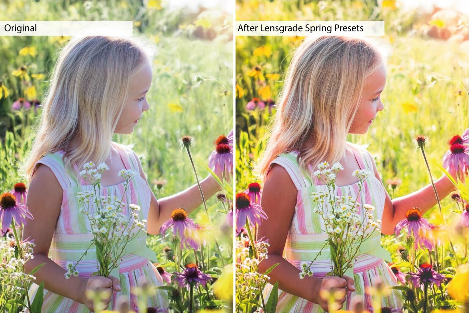 Spring Presets - Lightroom Presets – MasterBundles