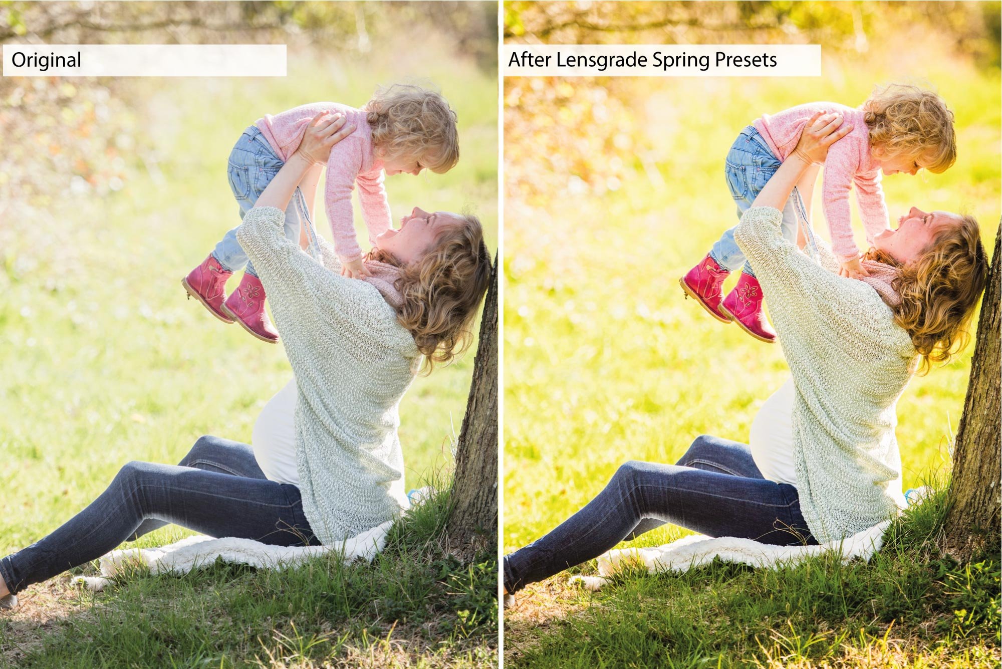 spring presets product image 7 402