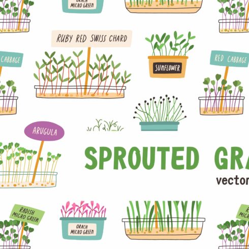 Microgreens, sprouted grains pattern cover image.