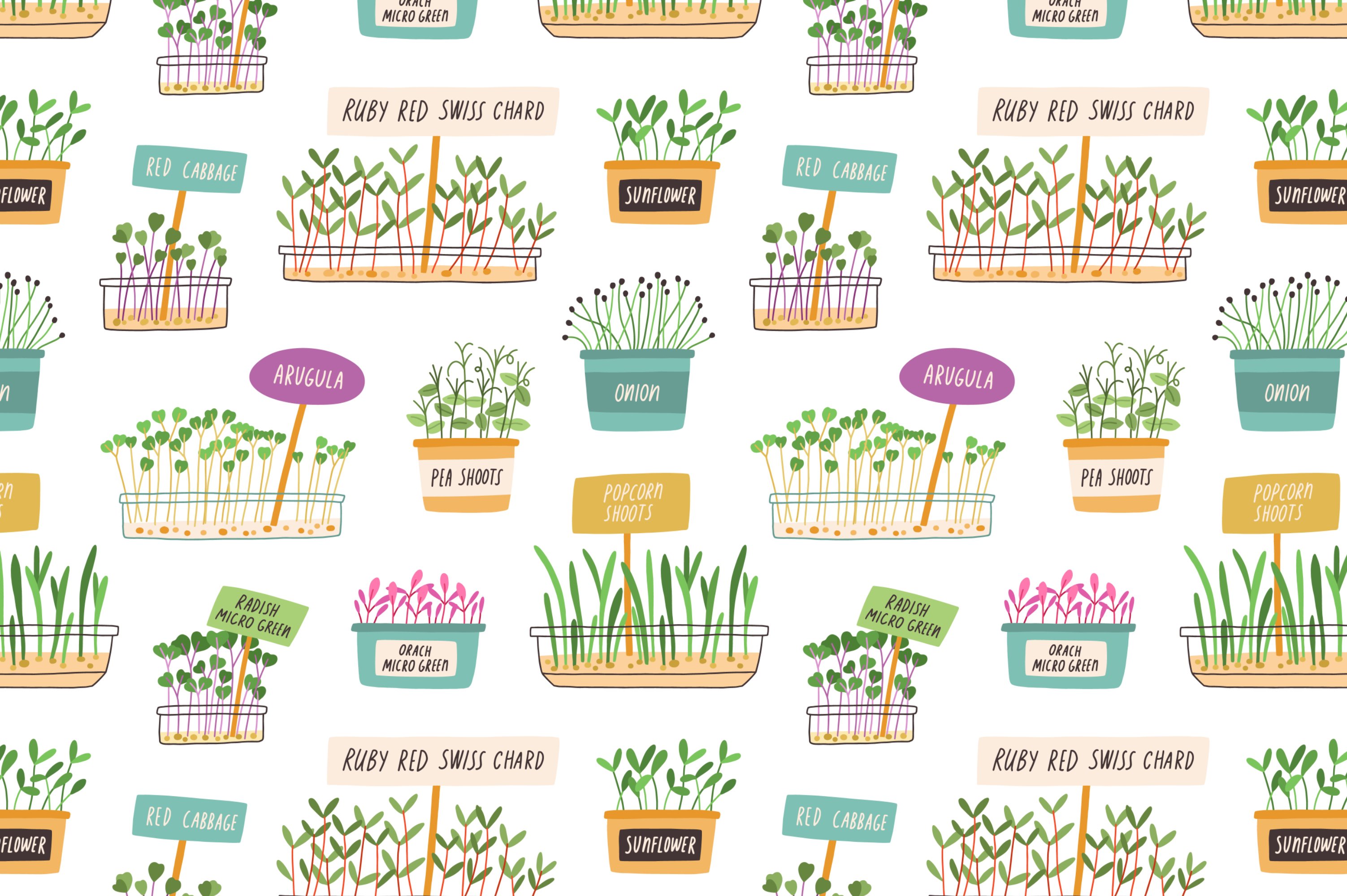 Microgreens, sprouted grains pattern preview image.