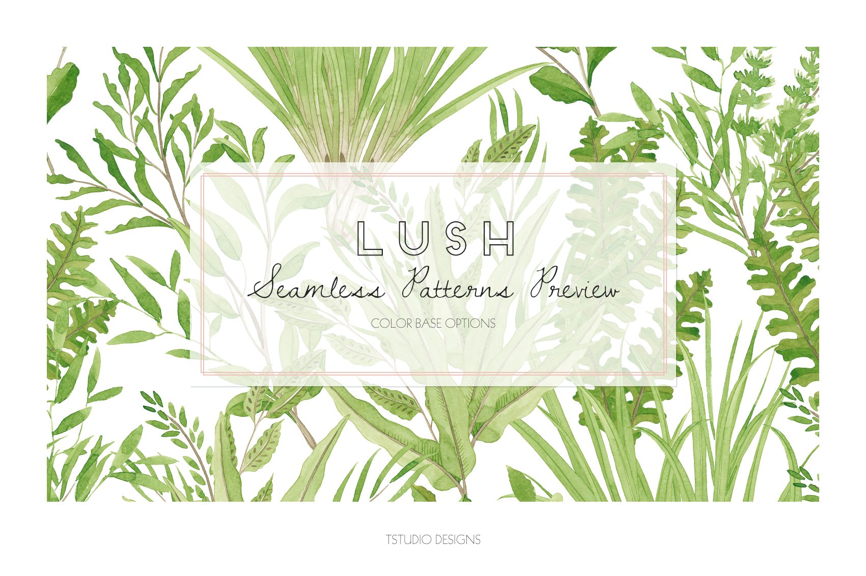 Lush green leaves and plants with a white background.