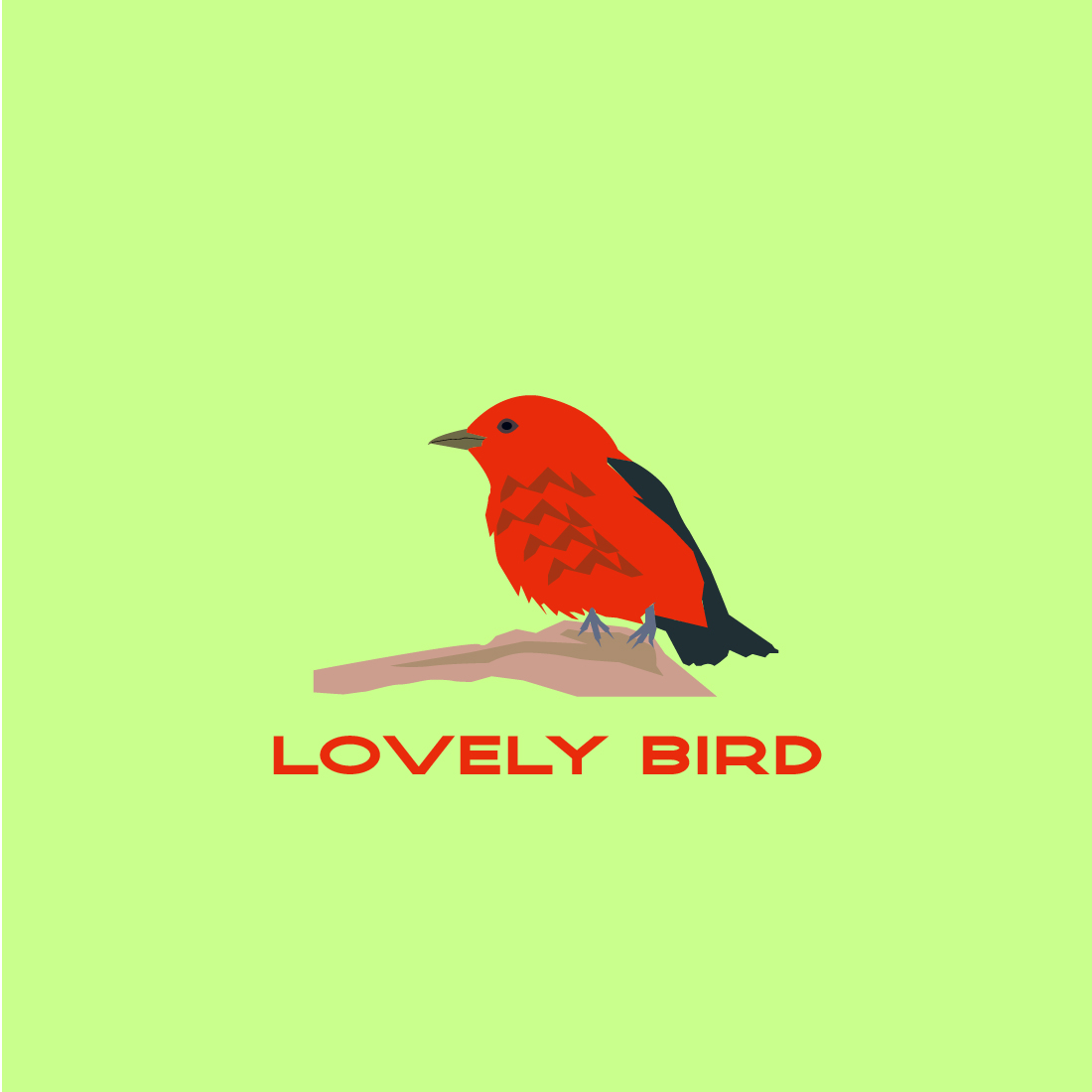 lovely bird preview image.