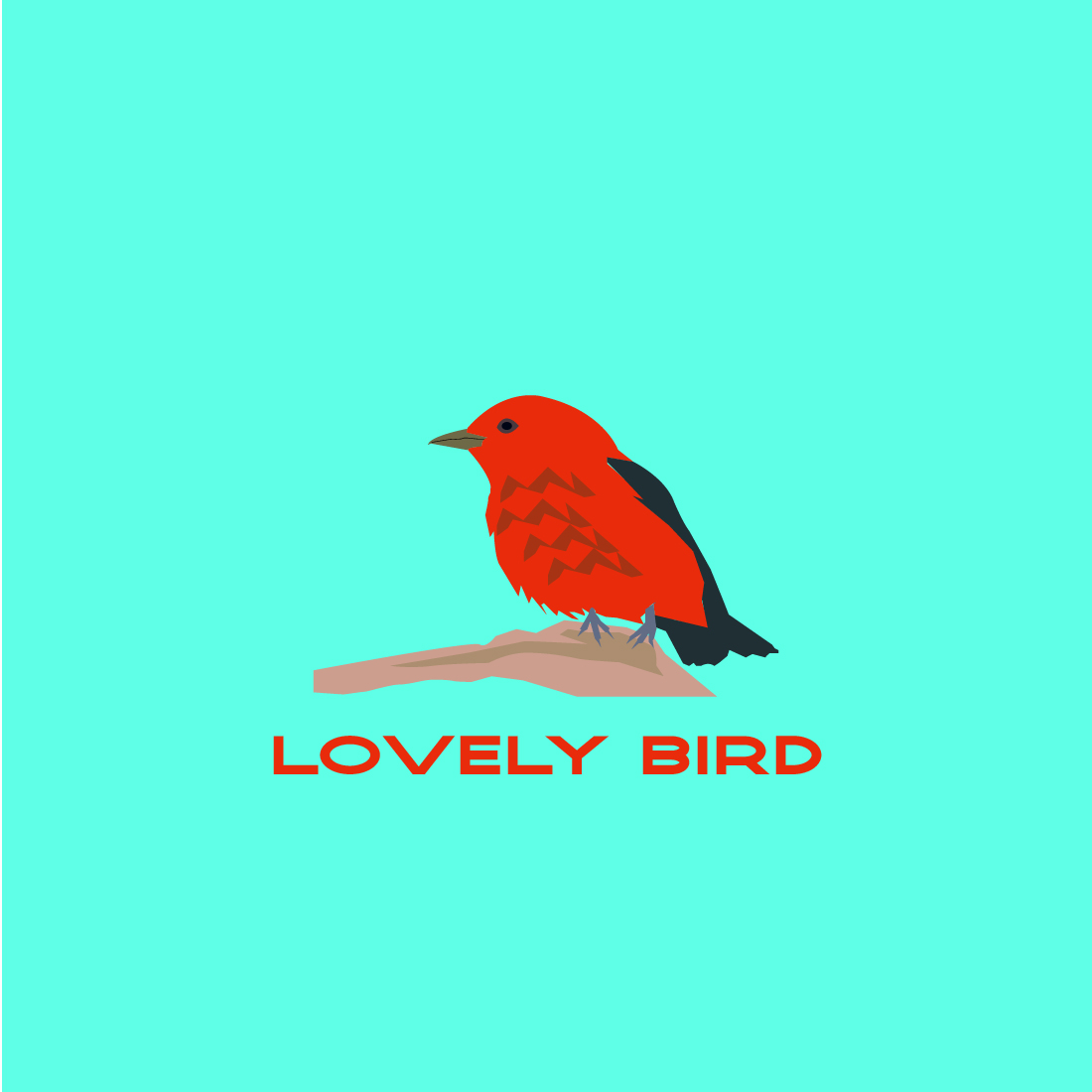 lovely bird cover image.