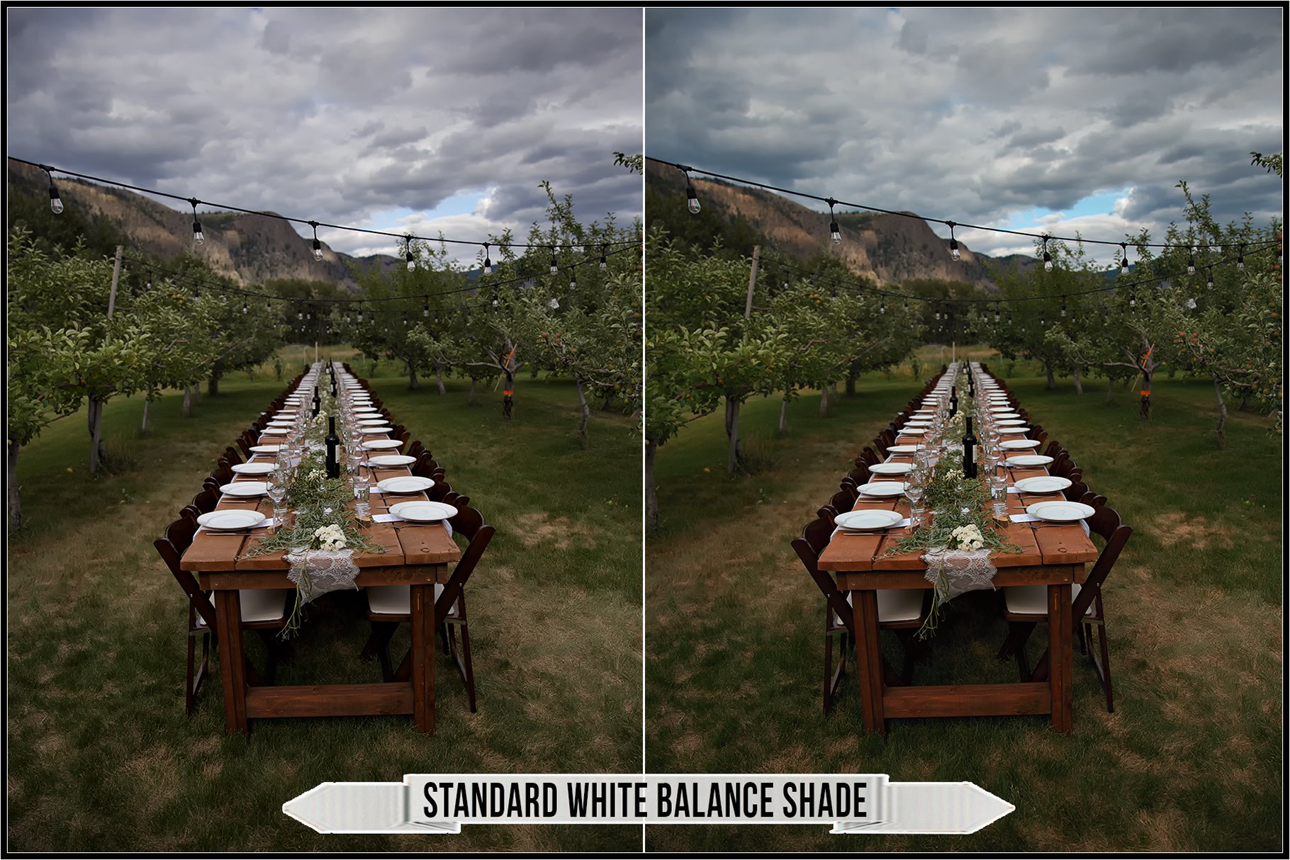 standard white balance shade 147