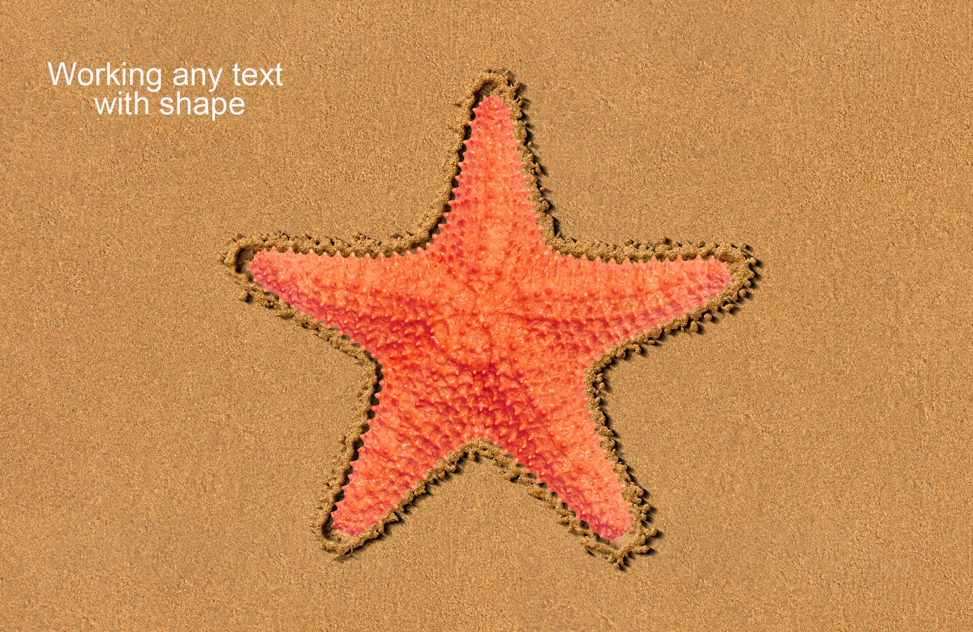 star fish with sand 733