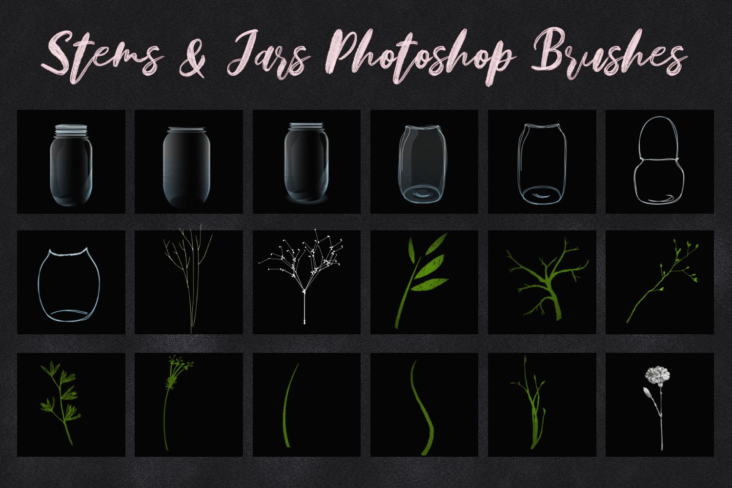 stems and jars photoshop brushes 596
