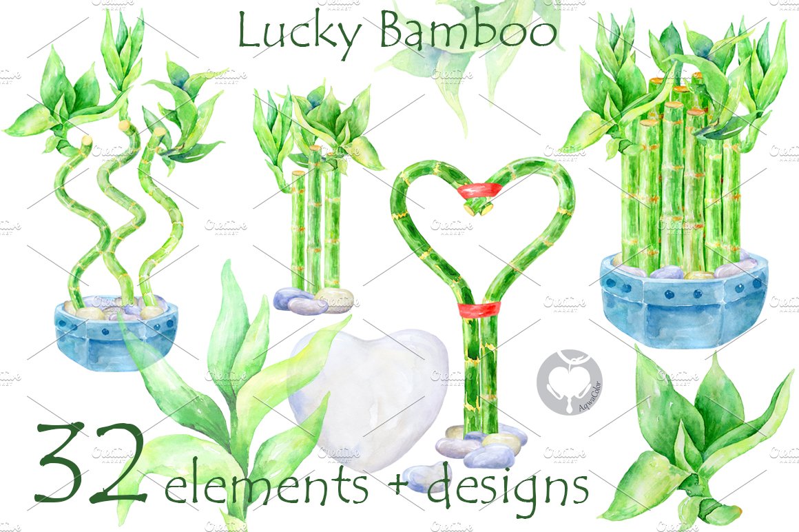 Lucky Bamboo - watercolor clipart cover image.