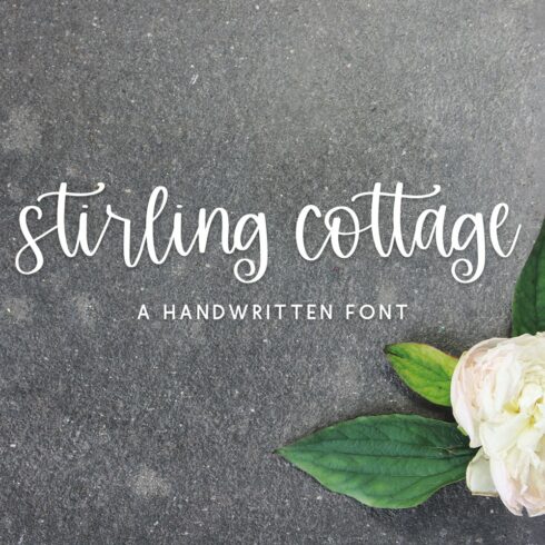 Stirling Cottage Script cover image.