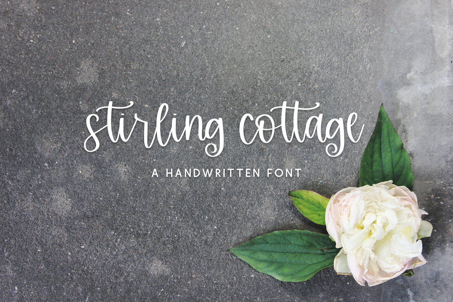 Stirling Cottage Script cover image.