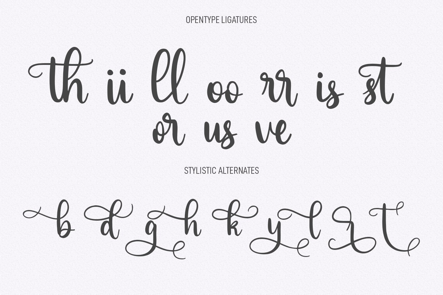 stories amsterdam feminine siganture script free font 10 72