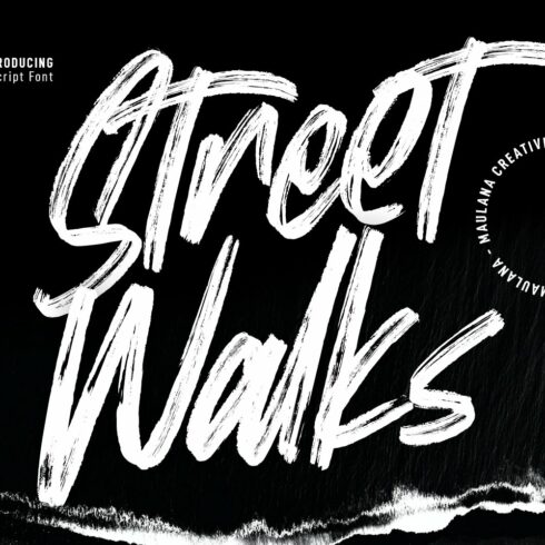 Street Walks Brush Script Font cover image.