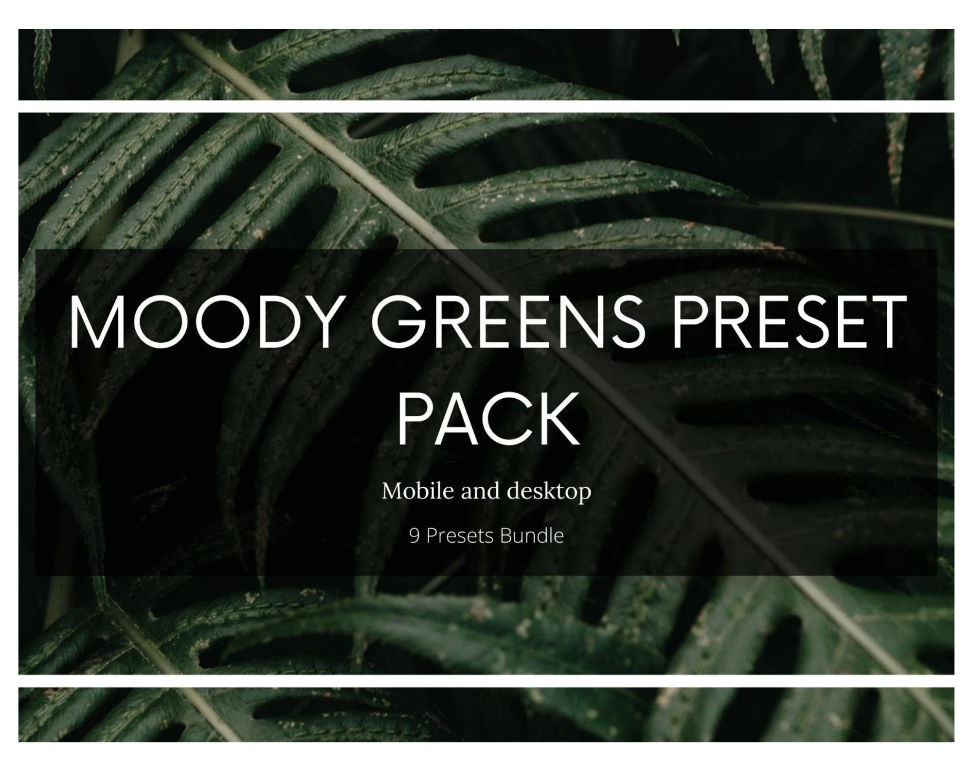 9 Lightroom Presets Pack Moody Greencover image.