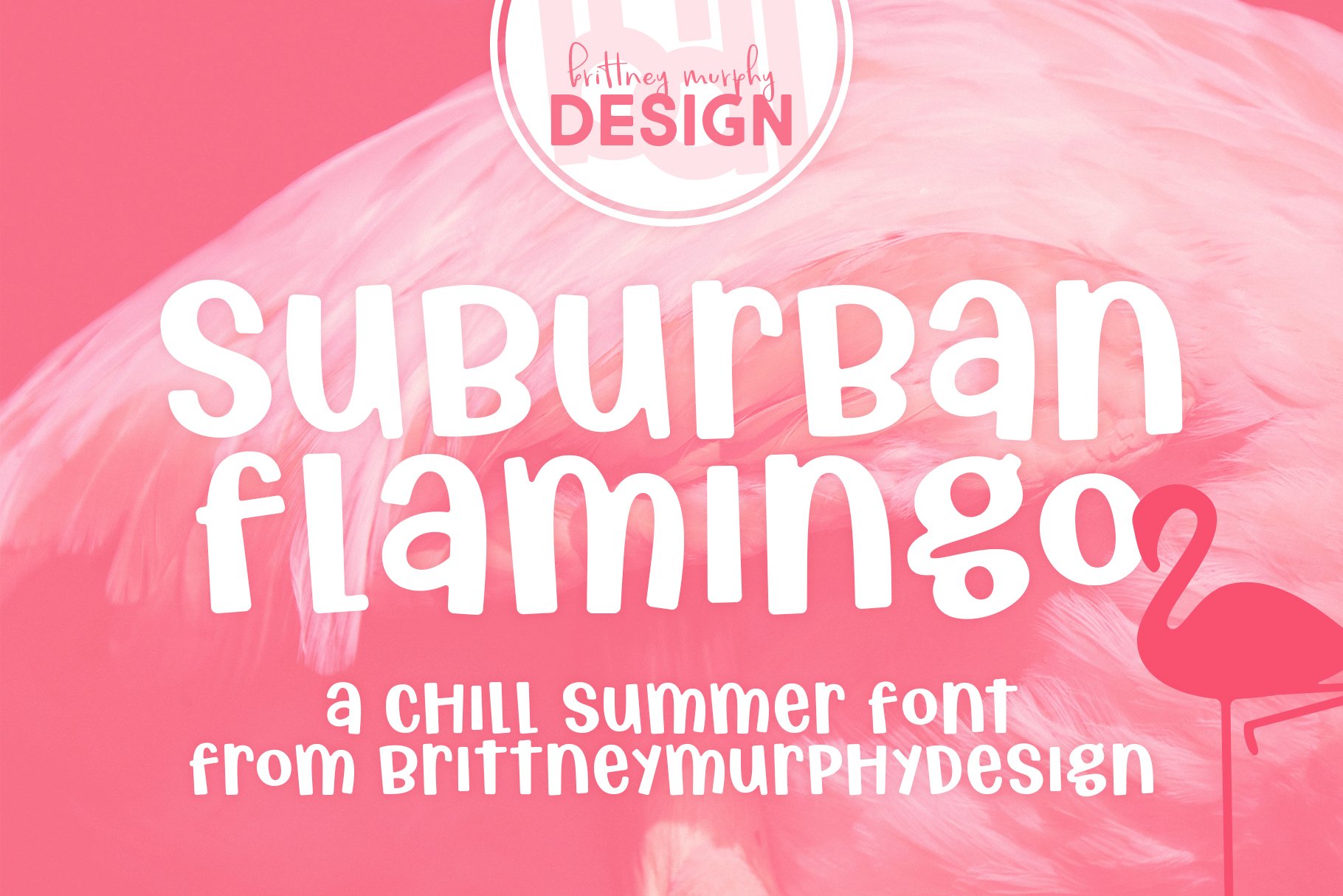 Suburban Flamingo cover image.