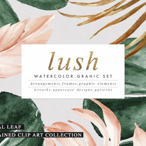 Lush-Summer Graphic Set cover image.