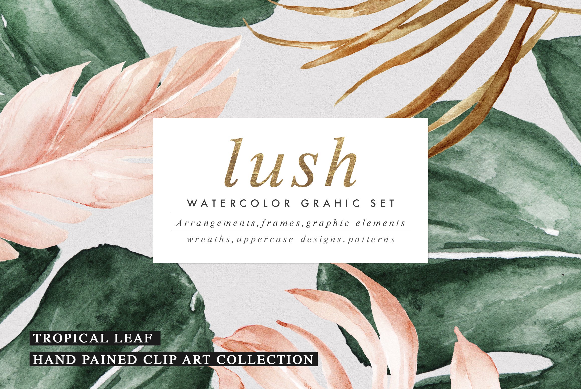 Lush-Summer Graphic Set cover image.