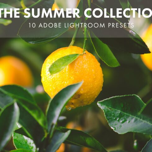 Adobe Lightroom Presets Summercover image.