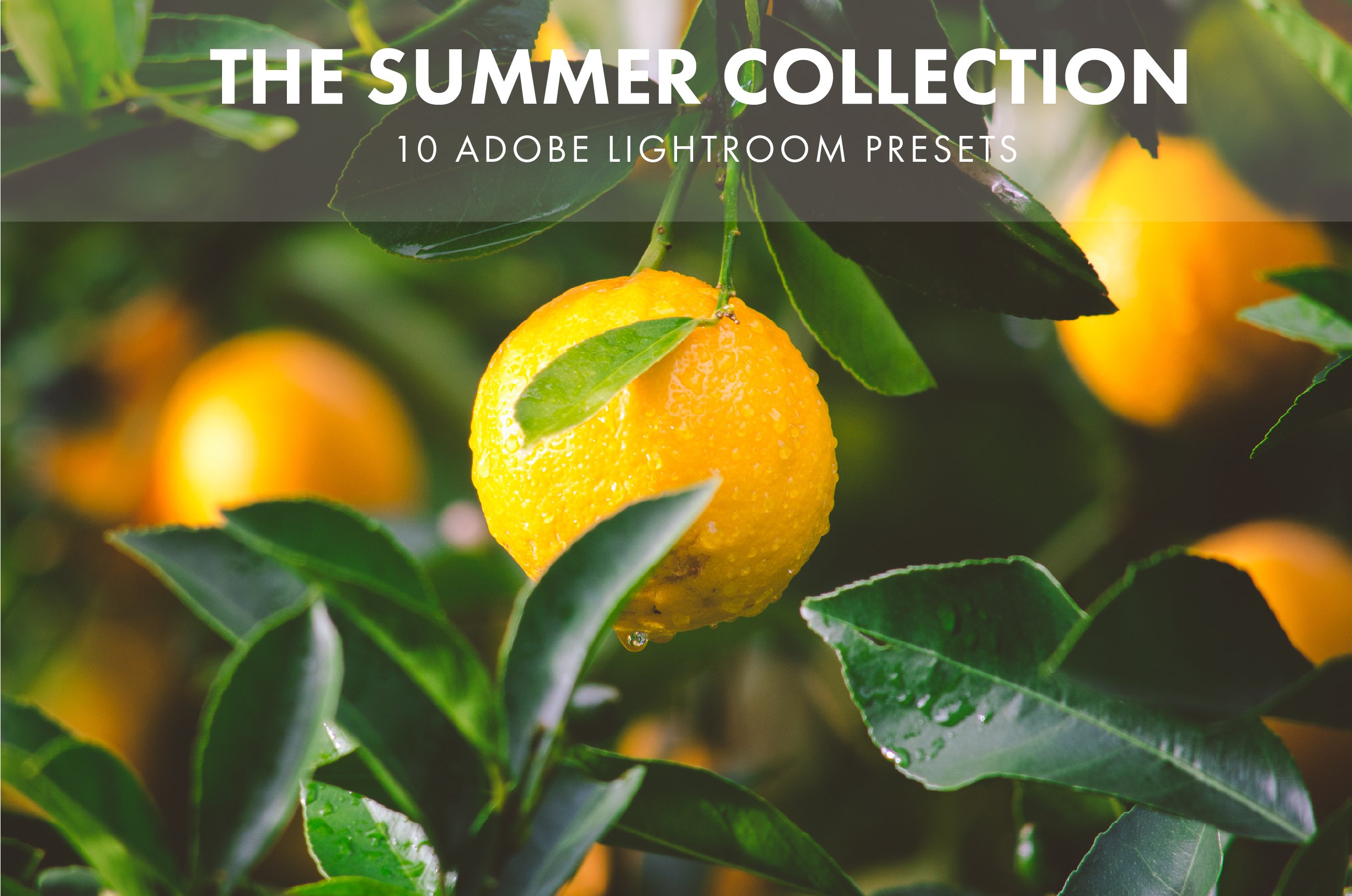 Adobe Lightroom Presets Summercover image.