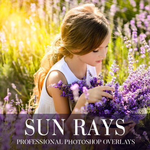 Sun Rays Overlays Photoshopcover image.