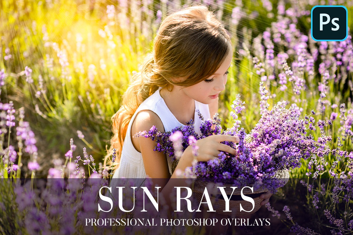 Sun Rays Overlays Photoshopcover image.