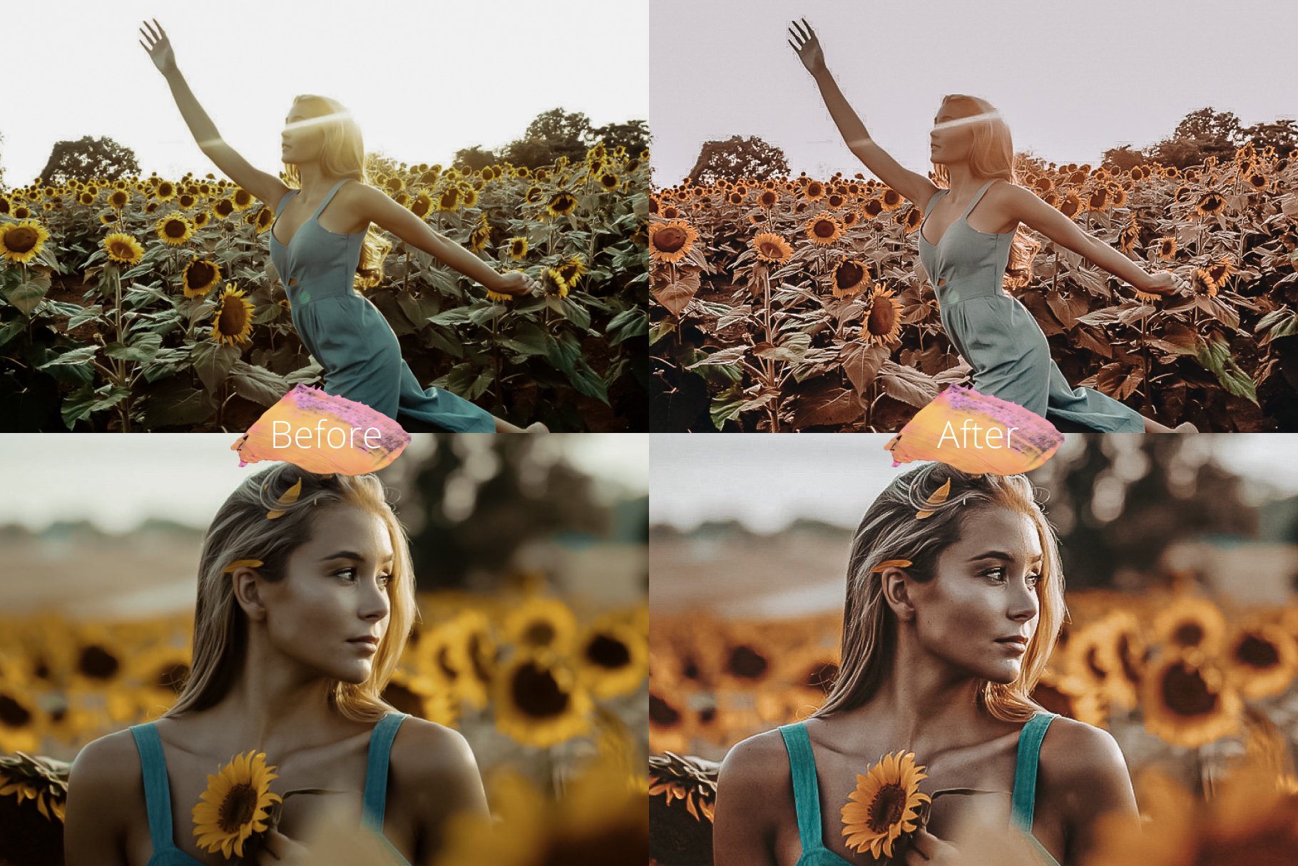 sunflowers 03 34