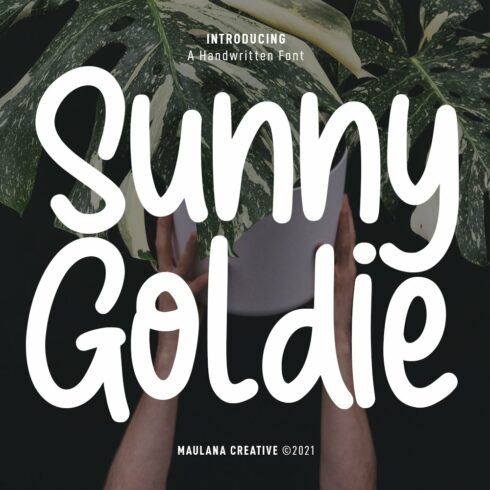 Sunny Goldie Handwritten Font cover image.