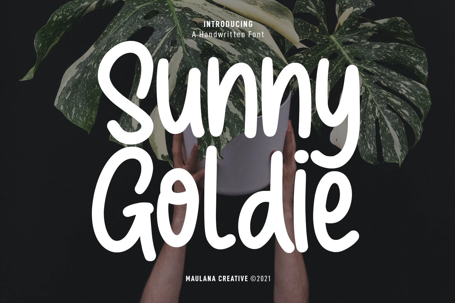 Sunny Goldie Handwritten Font cover image.