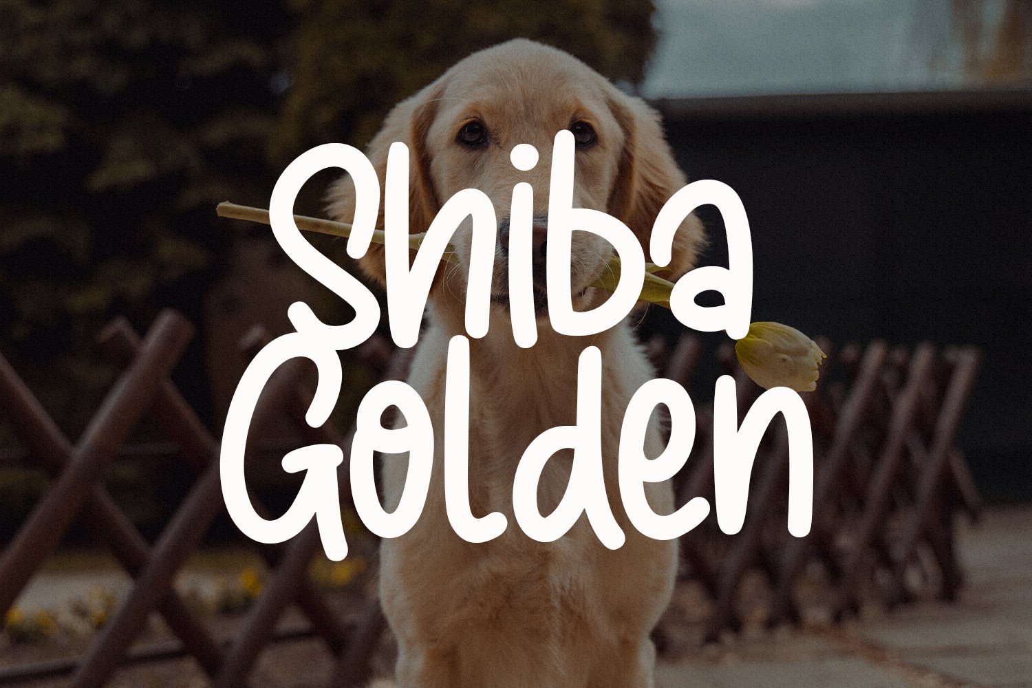 sunny goldie handwritten font 3 443