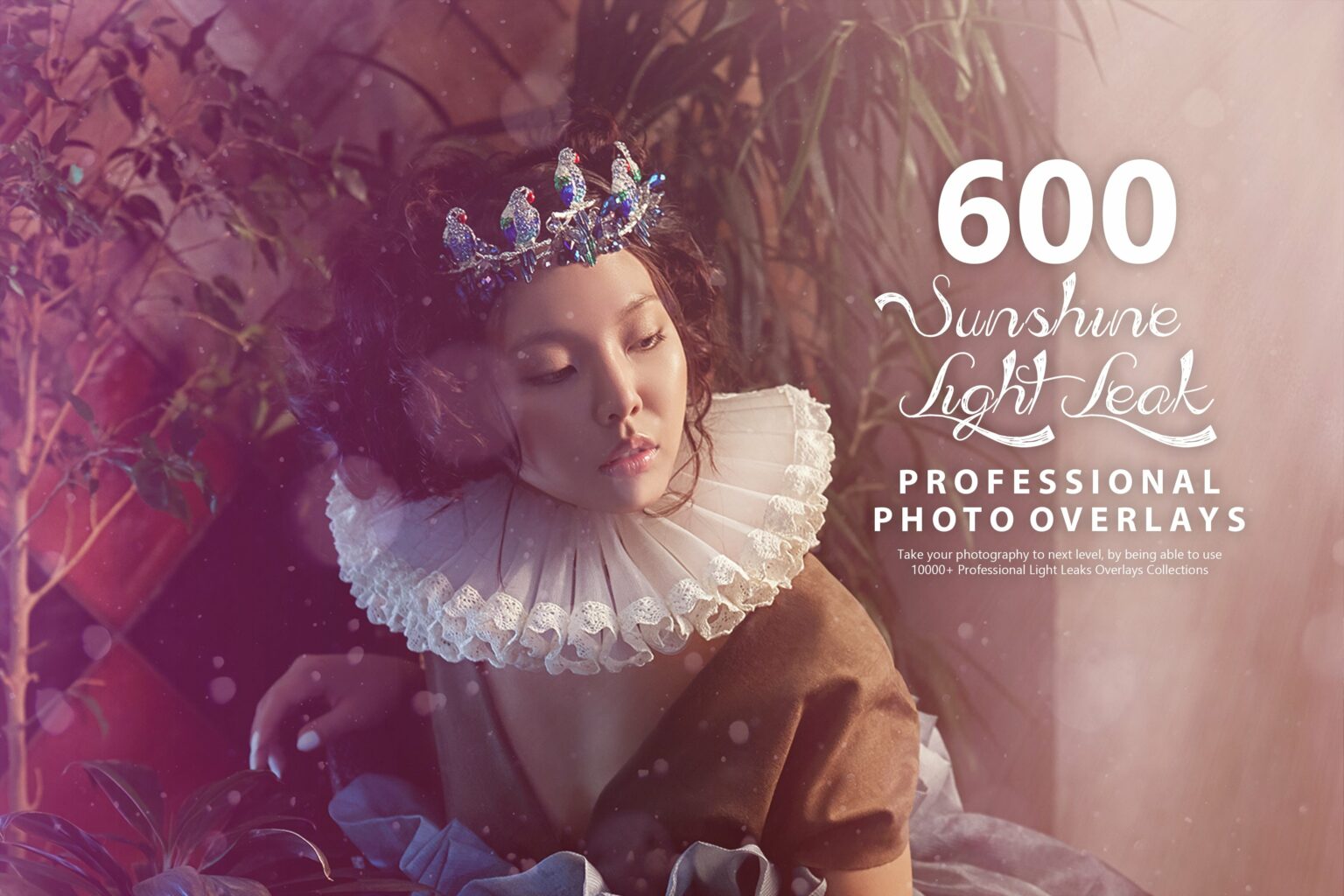 600 Sunshine Light Leak Overlays MasterBundles