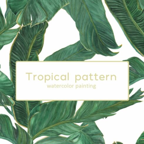 Palm tree leaves patterns cover image.