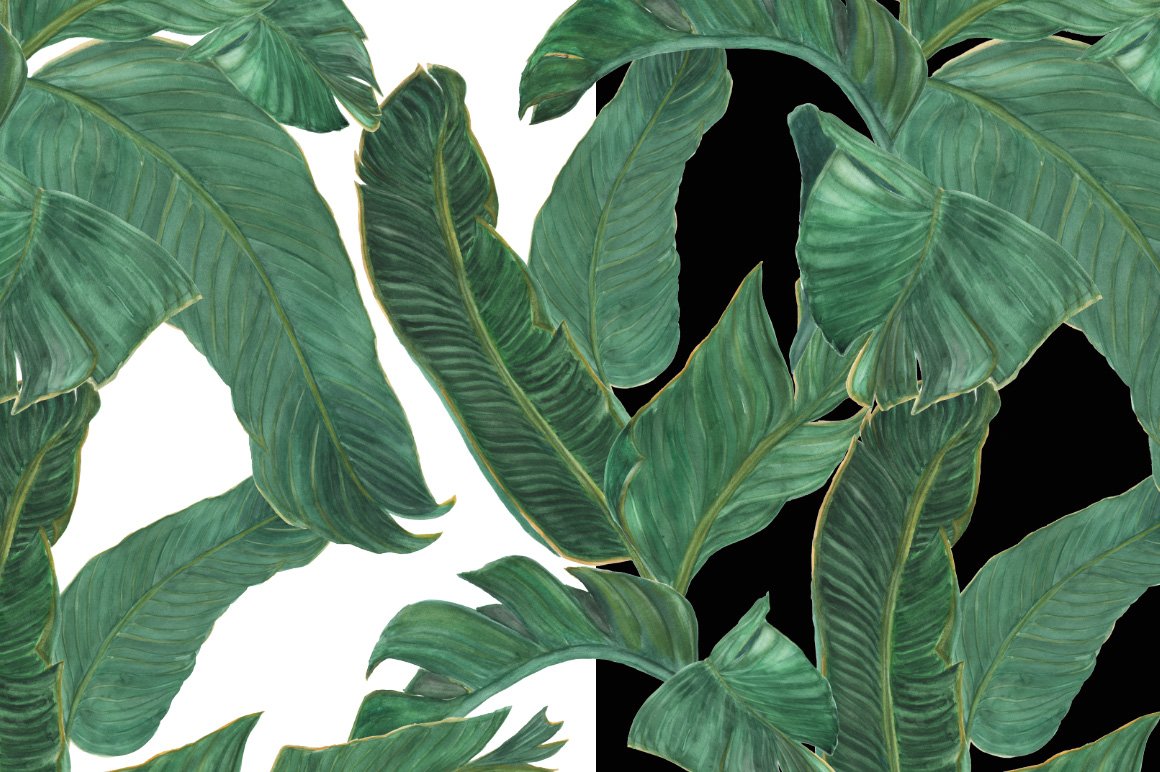 Palm tree leaves patterns preview image.