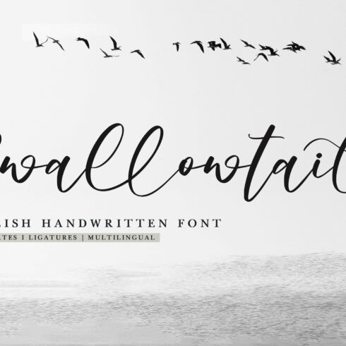 Swallowtail-Stylish Handwritten Font cover image.