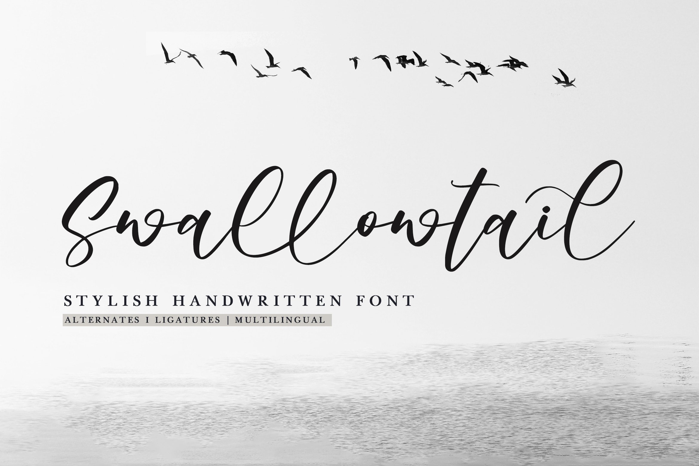 Swallowtail-Stylish Handwritten Font cover image.