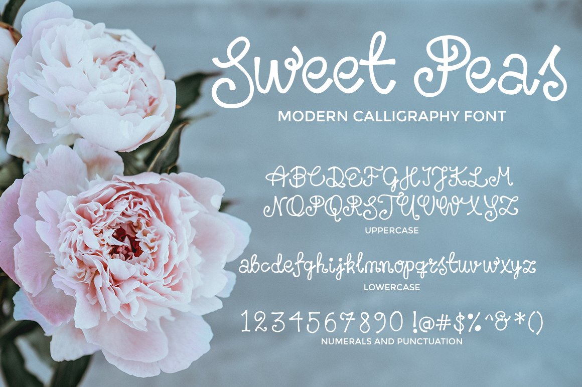 sweet peas modern calligraphy font characters 45