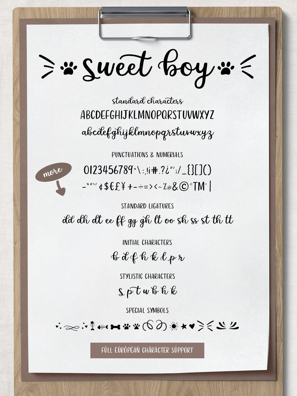 Sweet Boy Script Font preview image.