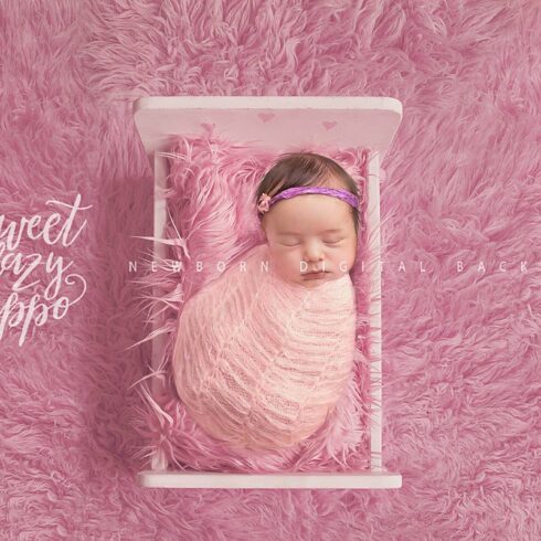 Newborn Digital Backdrop for Girlscover image.